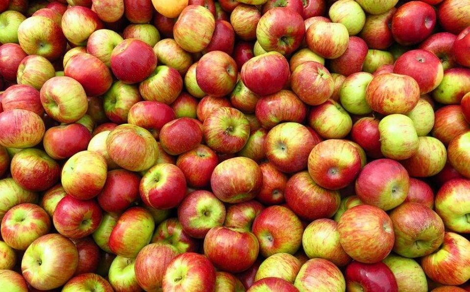 dieta de mazá para adelgazar